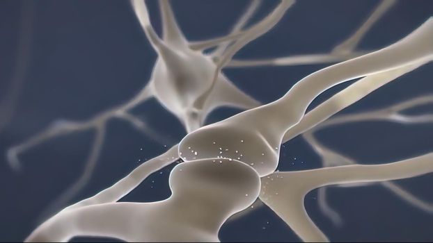 Brain cell synapse showing chemical messengers or neurotransmitters released