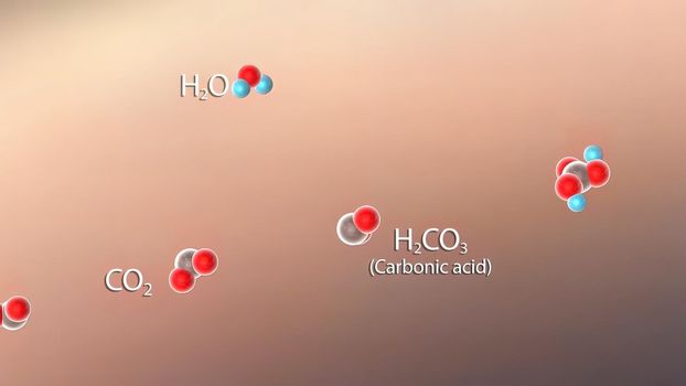 accumulation of carbon dioxide in the blood due to shortness of breath