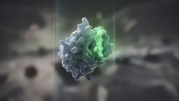 Cell that inhibits tumor growth
