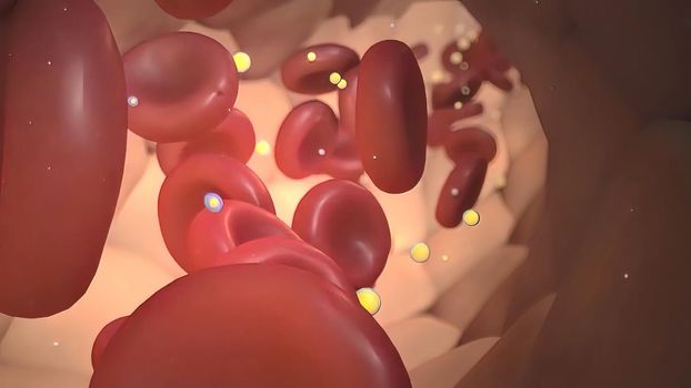 Hemophilia, Coagulation and how blood clots
