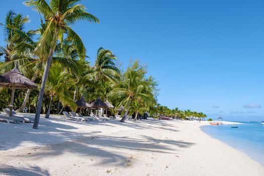 Tropical beach with palm trees and white sand blue ocean and beach beds with umbrella,Sun chairs and parasol under a palm tree at a tropical beac, Le Morne beach Mauritius