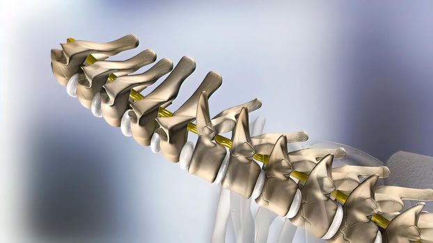 3D medical 3D illustration of cervical spine on