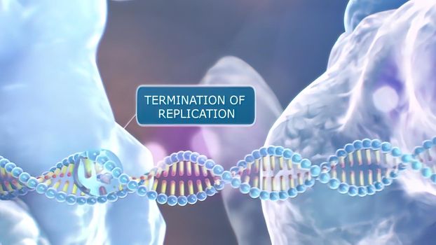 Scientific animated A specific inhibitor of DNA polymerase