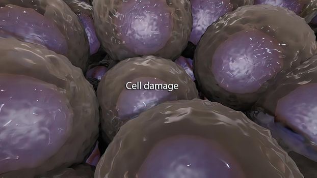 Cell death is an important process in the body as it promotes the removal of unwanted cells.