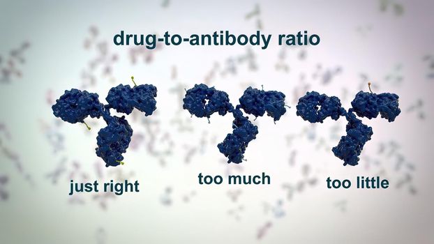 The structure of a typical antibody molecule.Antibodies and amino acids