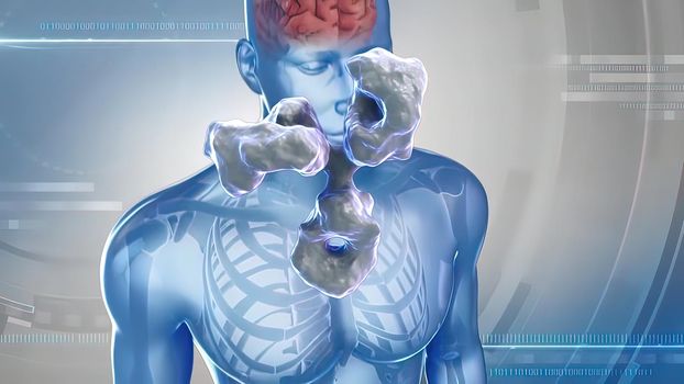 Blue transparent human, Inside The Human Brain travel, antibodies in brain cell