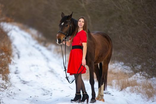 A beautiful girl in a red dress stands with a horse against the background of a winter forest and a road, the girl hugs the horse and looks into the frame