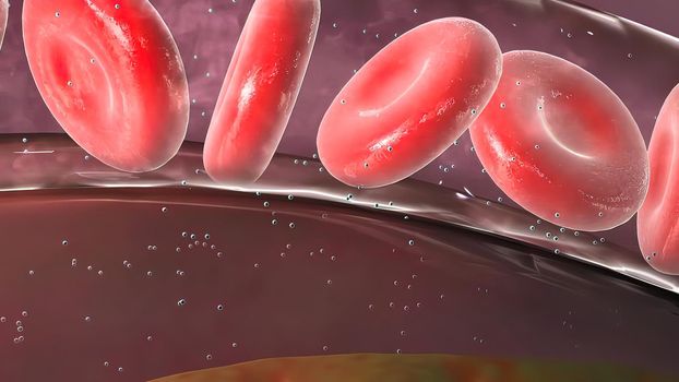 illustration of many blood cells