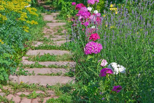 Summer country garden path with flower bed
