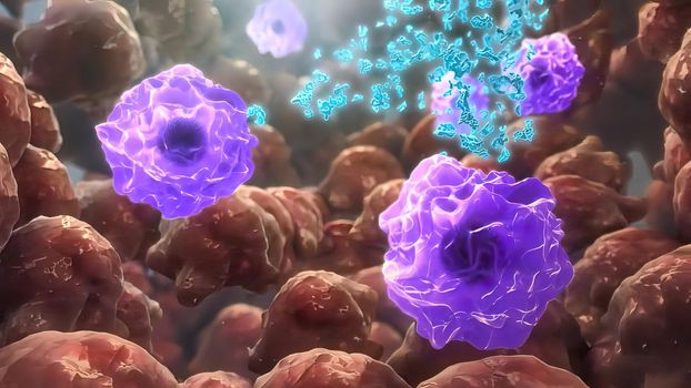 Antibodies that attack tumor cells