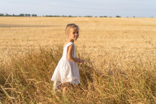 Little girl dressed white dress walking wheat field summer day