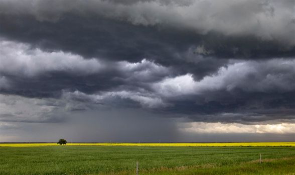 Prairie Storm Clouds Canada