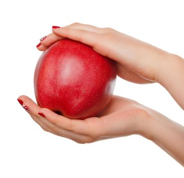 Woman's hand holding red apple. Isolated on a white background.