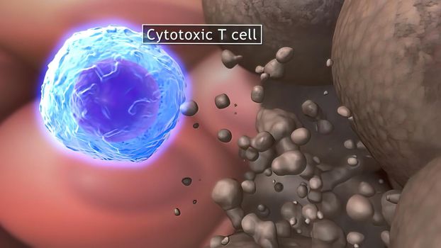 Cytosine T cell clears tumor cells