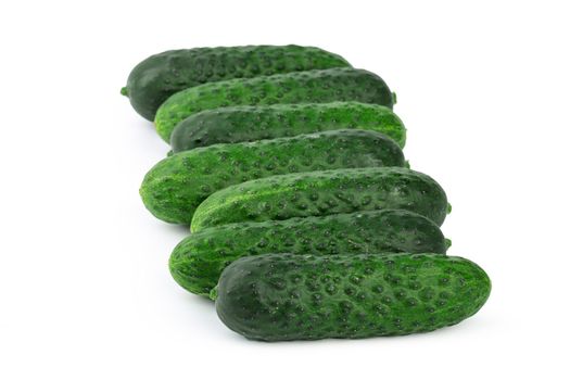 cucumber isolated on white background. Creative Photo