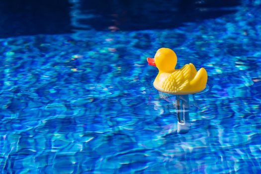 Yellow rubber duck toy in the water.swimming pool water texture. Swimming pool bottom with floating rubber duck.