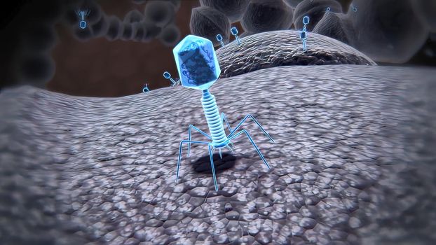 A bacteriophage virus killing bacteria by injecting DNA to replicate within