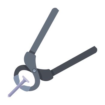 remove the nail with pliers. construction tool for housework.
