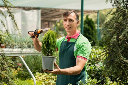 Mature man working in garden center standing and holding pot plants