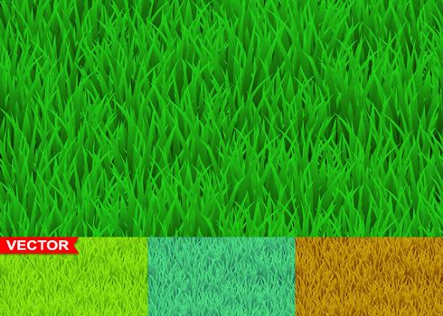 Green and savanna grass seamless pattern vector