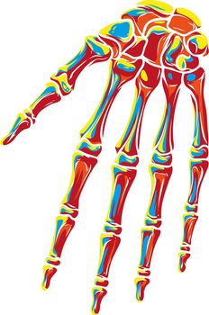 Graphic colorful human bone hand vector