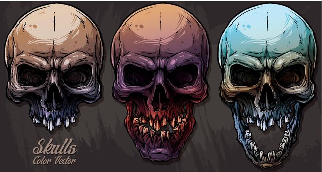 Detailed graphic colorful human skulls set
