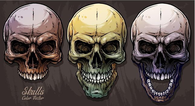Detailed graphic colorful human skulls set