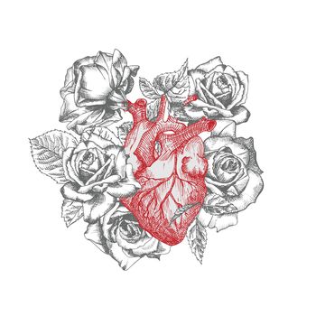 Heart with bouquet roses Realistic hand-drawn icon of human internal organ and flower frame. Engraving art. Sketch style. Design concept for medical projects post viral rehabilitation posters, tattoos