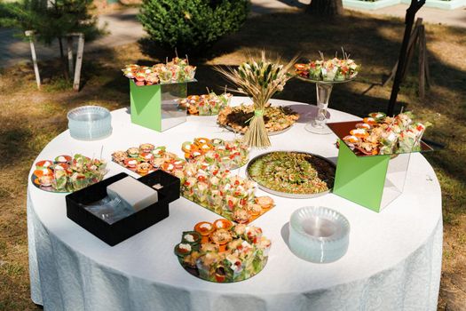 Meat canapes on white table on catering for company. Starter food for beginning of wedding ceremony. Advert for restaurants and cafe