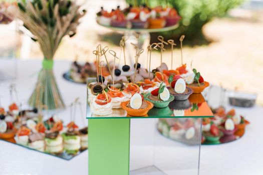 Meat canapes on white table on catering for company. Starter food for beginning of wedding ceremony. Advert for restaurants and cafe