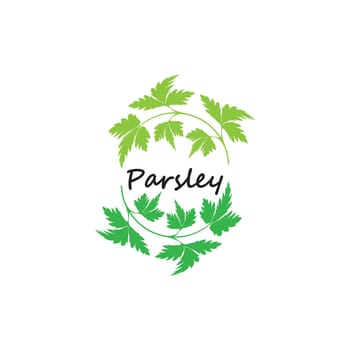 Green parsley twig, shoot, sprig. Icon Isolated on white. Logo for eco company, agriculture, nature firm, ecology, healthy organic and farm fresh food. Vector Illustration. kitchen herbs