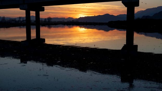 Sunset golden hour scenic view under bridge silhouette