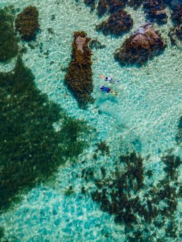 men and woman snorkling in the ocean, Praslin Seychelles tropical island with withe beaches and palm trees, beach of Anse Volbert Seychelles