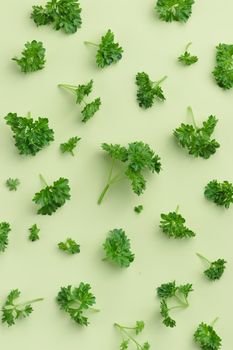Parsley on a green background