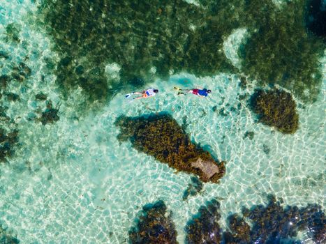 men and woman snorkling in the ocean, Praslin Seychelles tropical island with withe beaches and palm trees, beach of Anse Volbert Seychelles