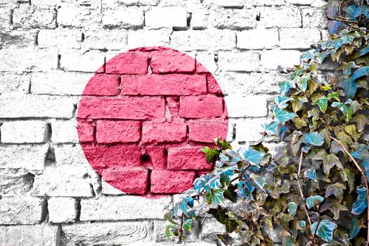 Japan grunge flag on brick wall with ivy plant