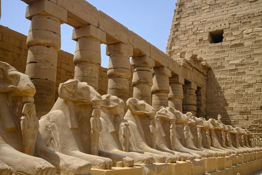 temple of Luxor - historical egypt monument archeology