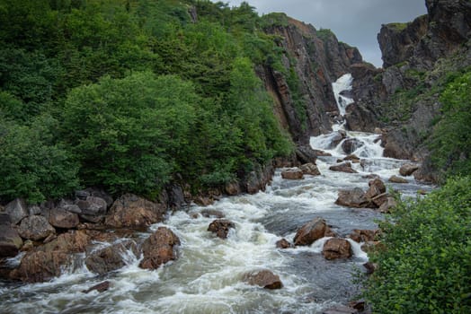 Babbling brook in wild Quebec