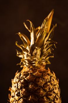 Pineapple tropical fruit on black background. Citrus fruit with vitamin c for helth care.