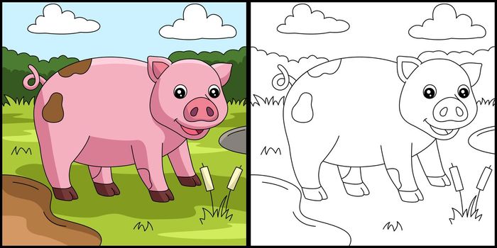Pig Coloring Page Colored Illustration