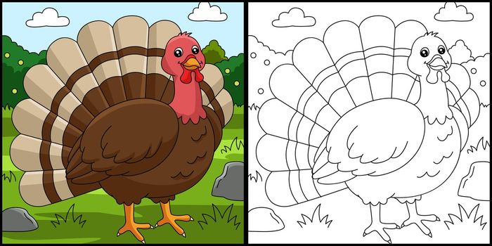 Turkey Coloring Page Colored Illustration