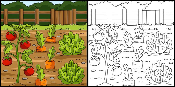 Vegetable Field Coloring Page Illustration