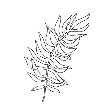 Continuous one line palm leaf. Tree leaves single line. Vector aesthetic contour concept for home decor