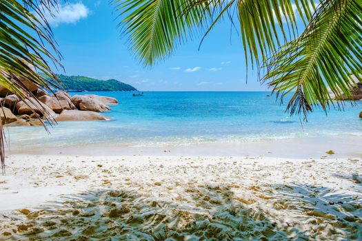Praslin Seychelles tropical island with withe beaches and palm trees, Anse Lazio beach ,Palm tree stands over deserted tropical island dream beach in Anse Lazio, Seychelles
