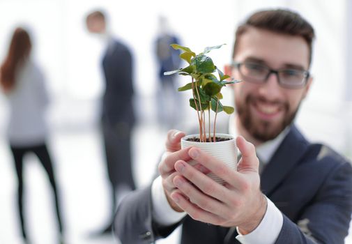 smiling businessman shows green young sprout