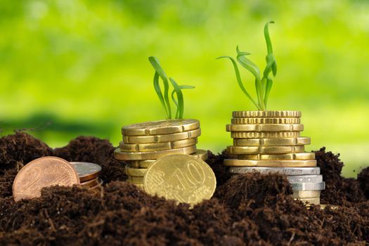 Euro coins and plant sprouts, financial growth concept