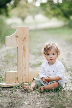 Closeup portrait of a little baby boy on wheat summer field. Parenthood concept.