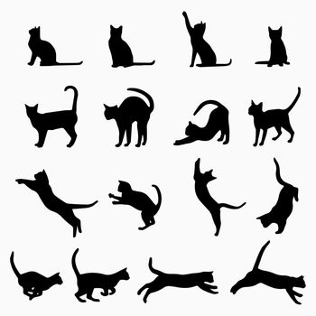 Set vector silhouettes of the cat, different poses, standing, jumping and sitting, black color