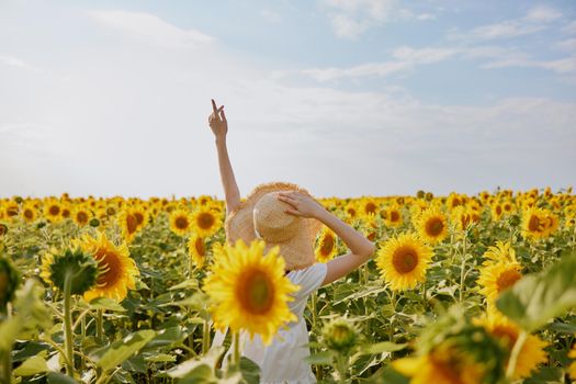 beautiful sweet girl in a white dress walking on a field of sunflowers landscape. High quality photo