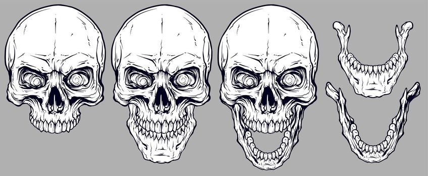 Detailed graphic white human skulls and jaws set
